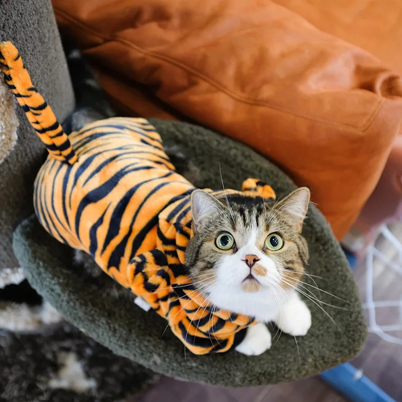 Soft Fleece
