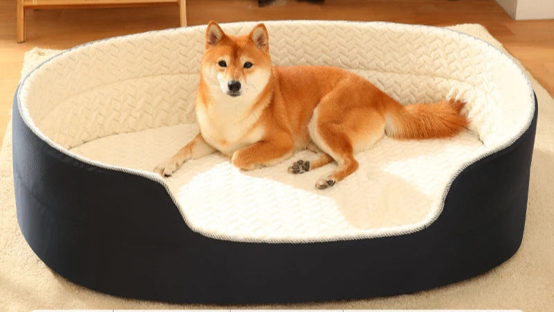 Dog Sofa Bed