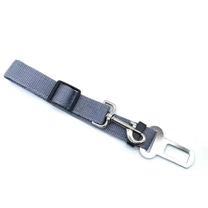 Seat Belt