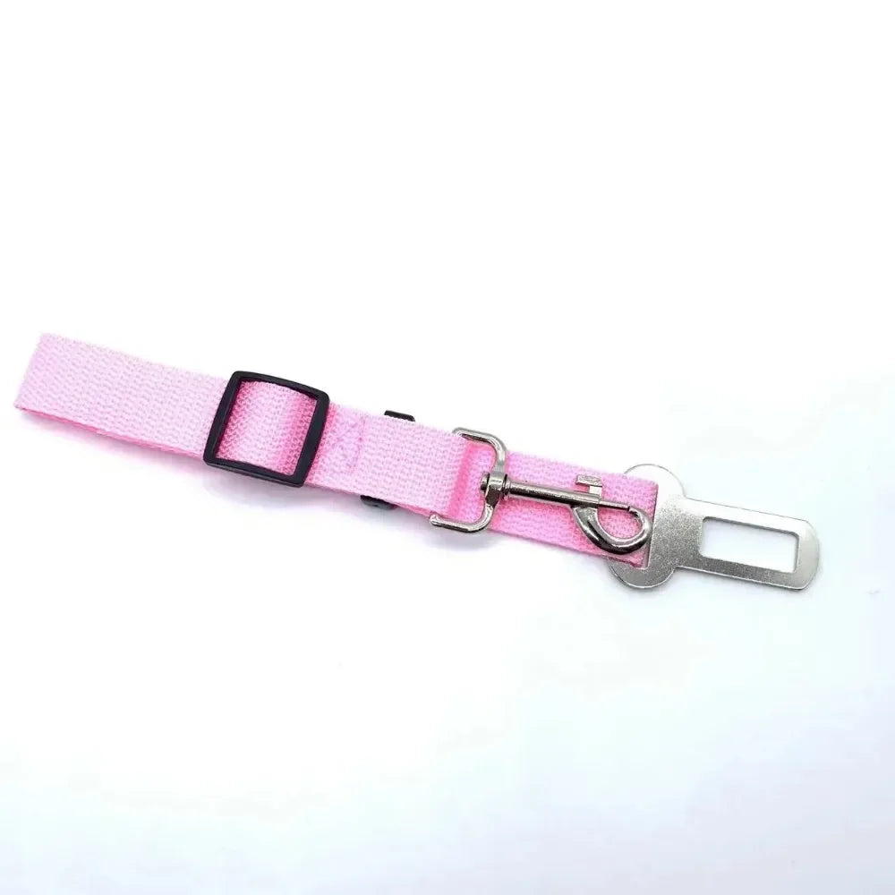 Seat Belt