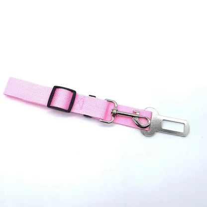 Seat Belt