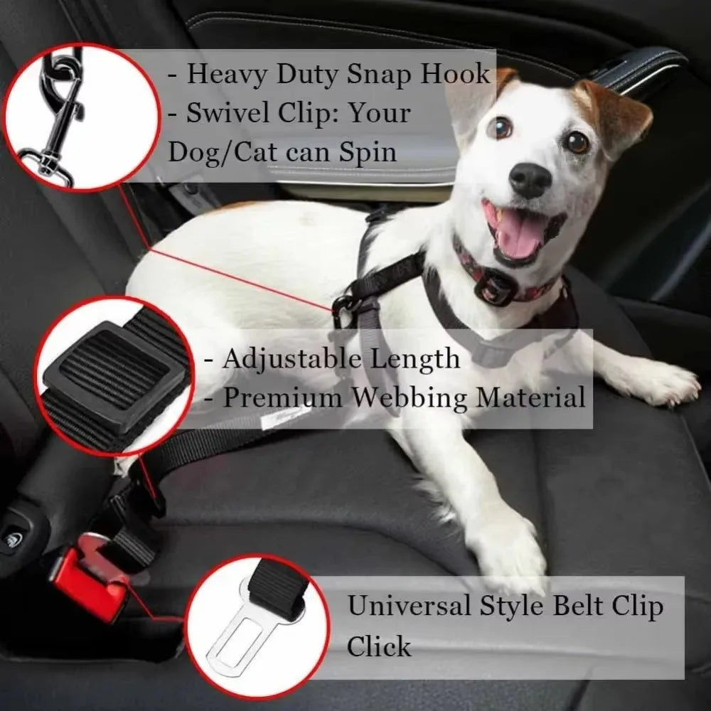Seat Belt