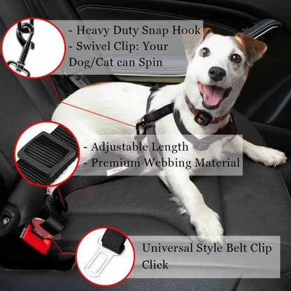 Seat Belt