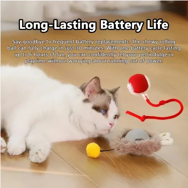 Automatic Rolling Ball