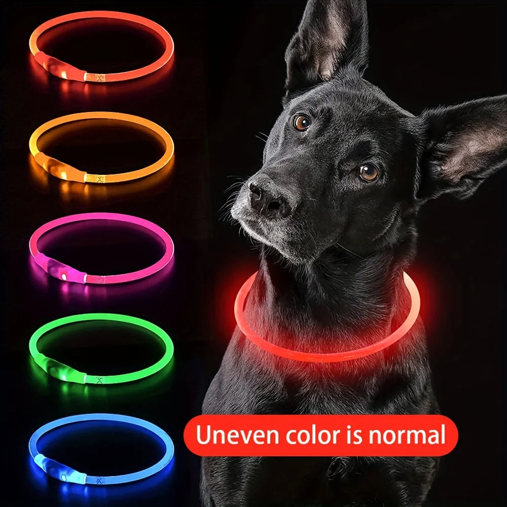 USB Dog Necklace Collar