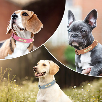Personalized Dog Collar