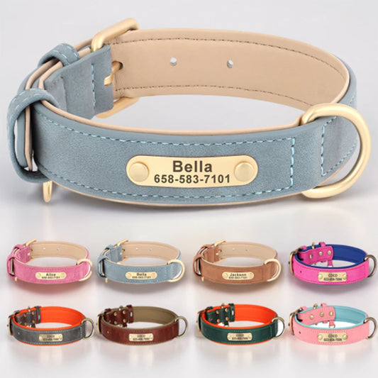 Personalized Dog Collar