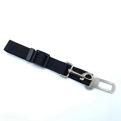 Seat Belt