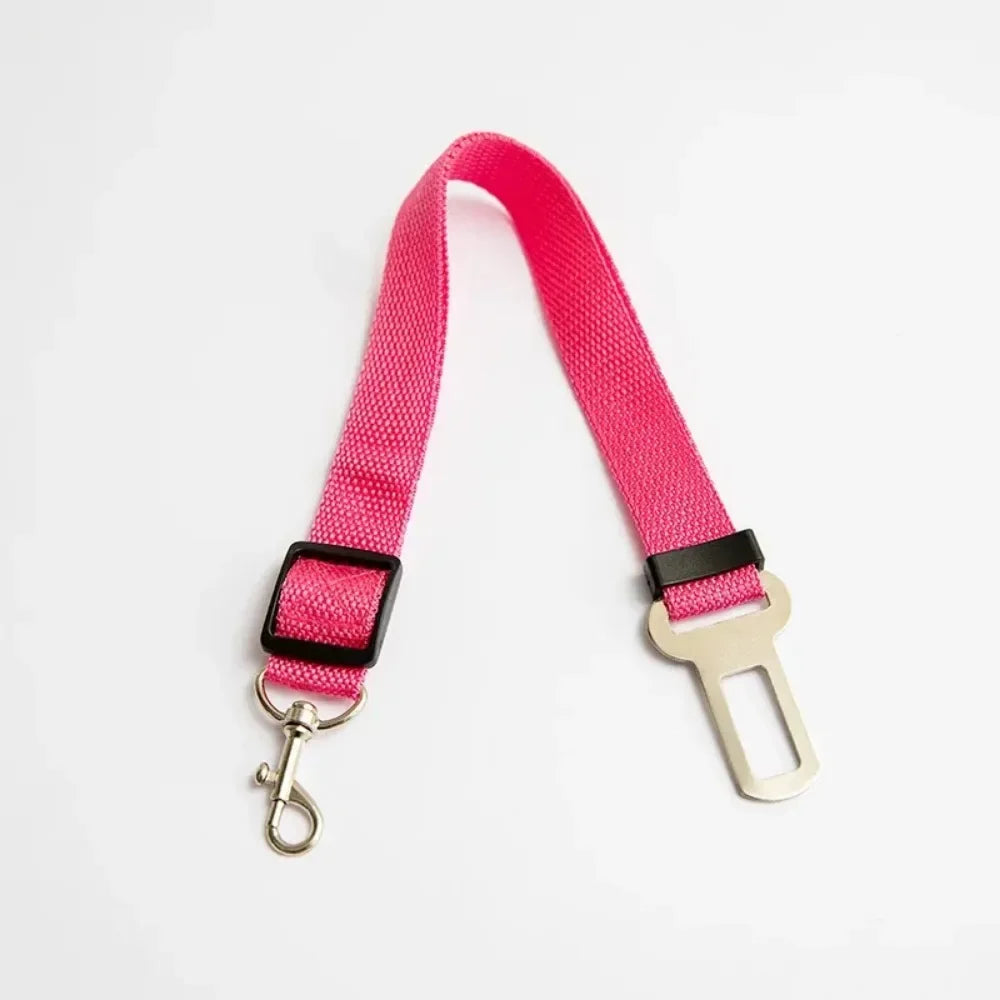 Seat Belt