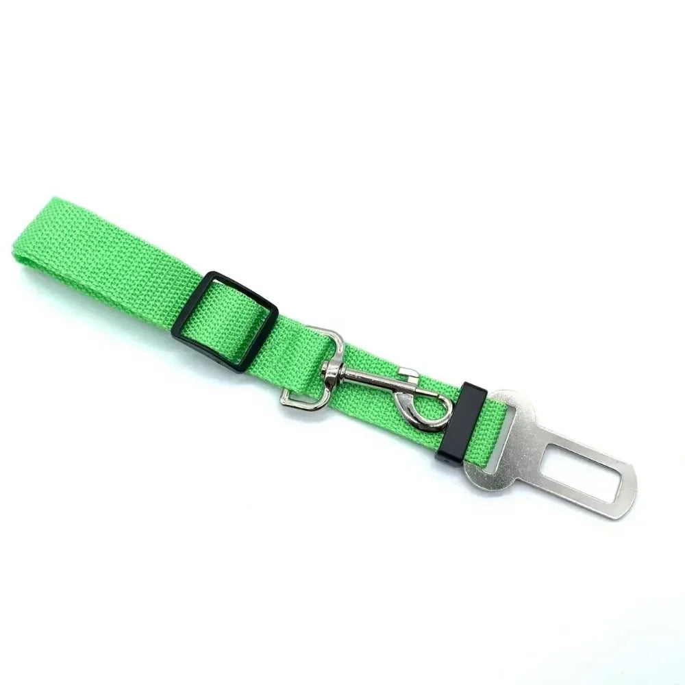 Seat Belt
