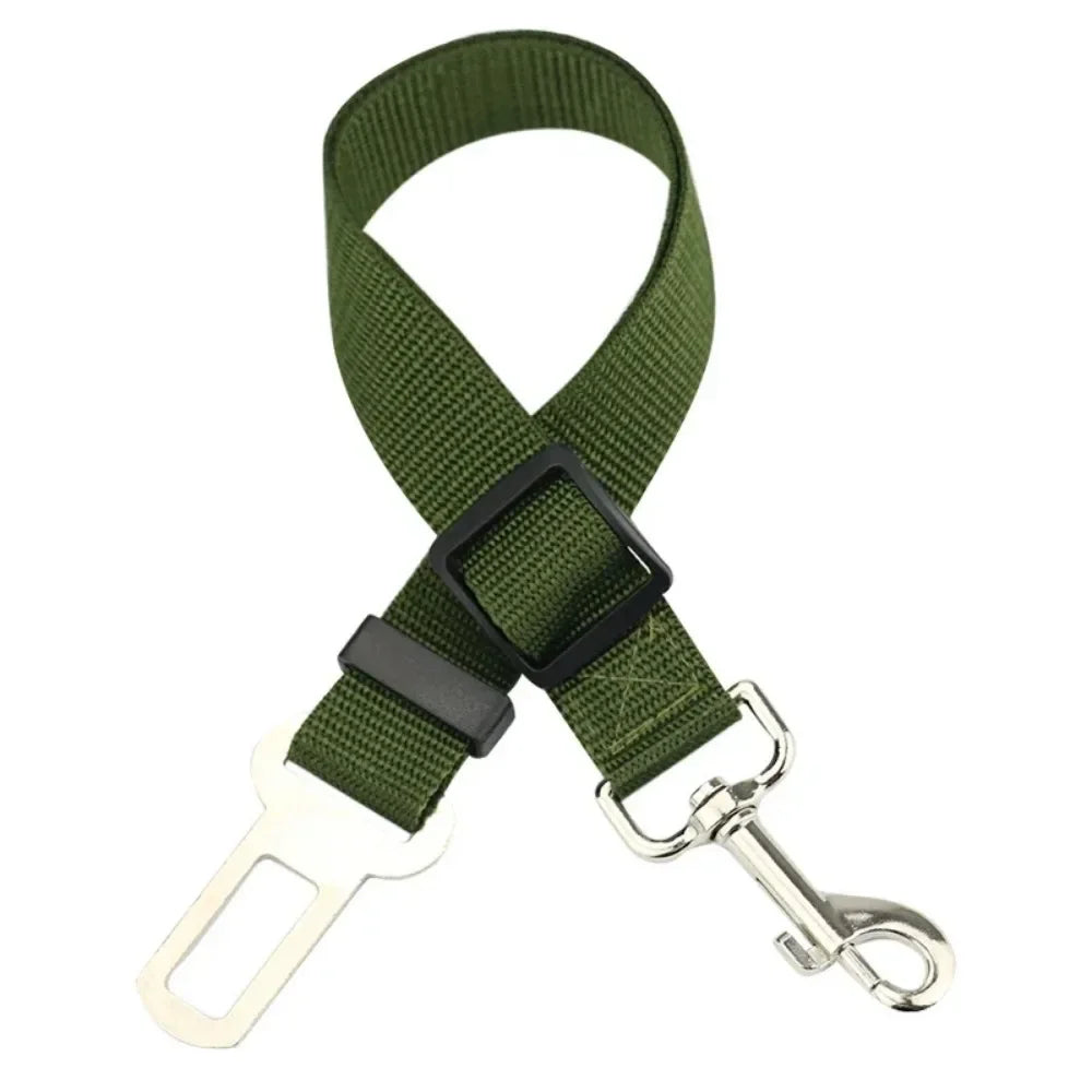 Seat Belt