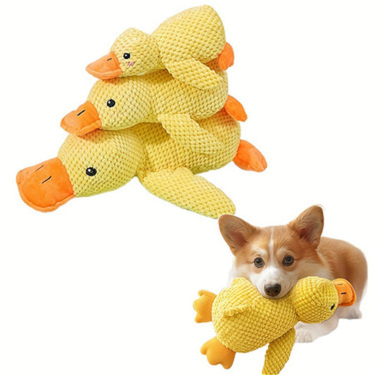 Duck Toy